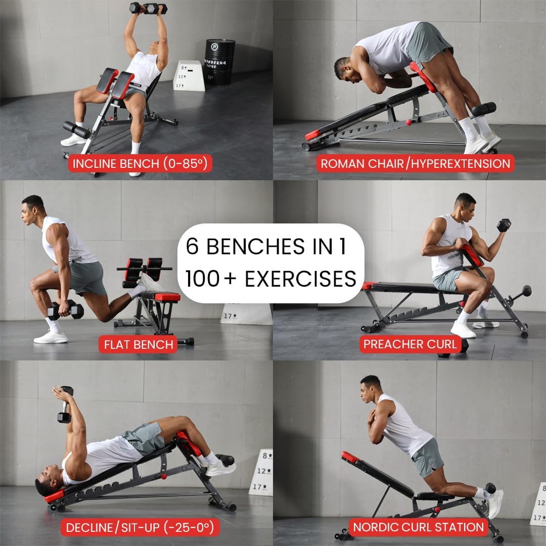 Multi-Functional Adjustable FID Weight Bench and Roman Chair | 1,000 Lb Capacity, 23 Settings, Flat Incline Decline for Total Body Workouts, Transport Wheels, Exercise Chart Included