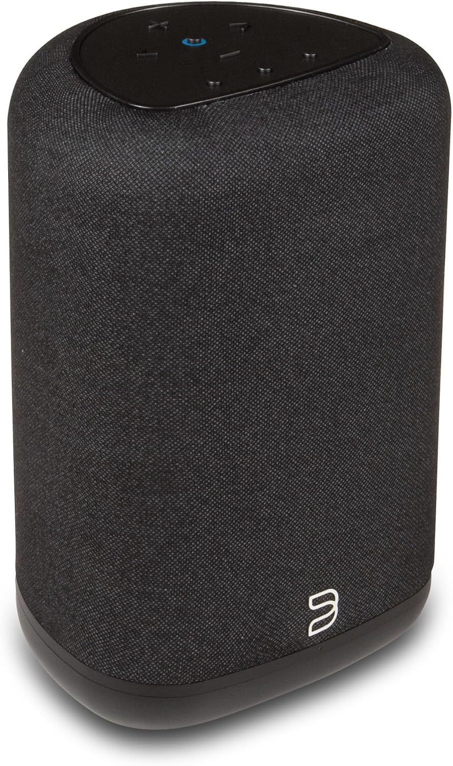 Pulse Flex Wireless Bluetooth Hi-Res All-in-One, AirPlay 2, Spotify Connect, Alexa Skills, Multi-Room Audio Speaker